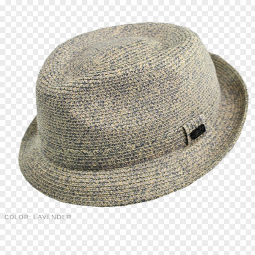 Hollywood Walk Fedora PNG