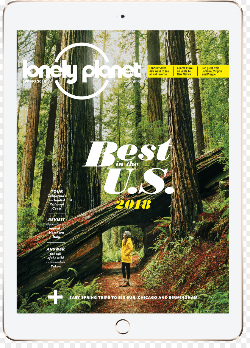 Lonely Planet Logo Ecosystem Rainforest Calenticos Magazine Flora PNG