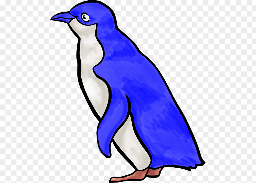 Penguins Vector Little Penguin Emperor Clip Art PNG