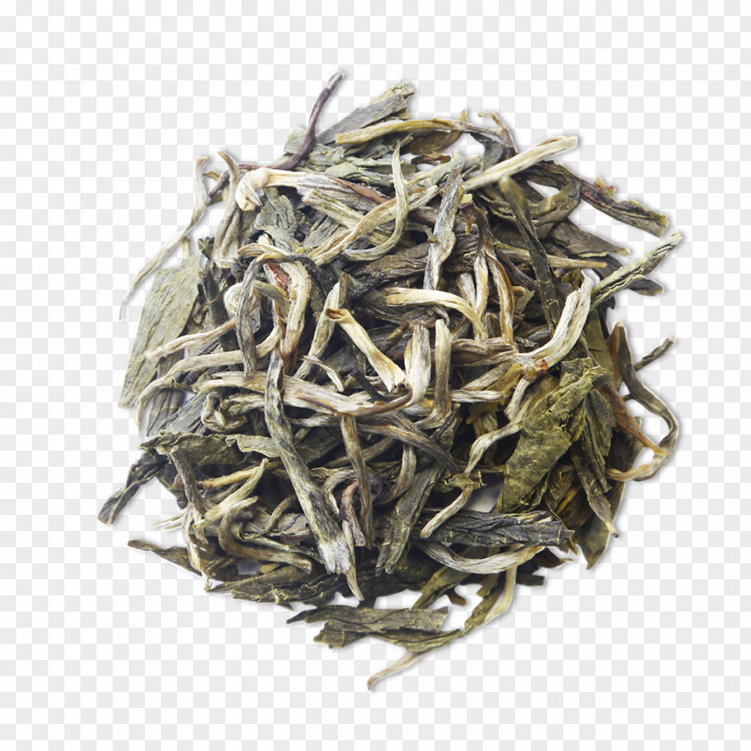 Tea White Dianhong Bai Mudan Nilgiri PNG