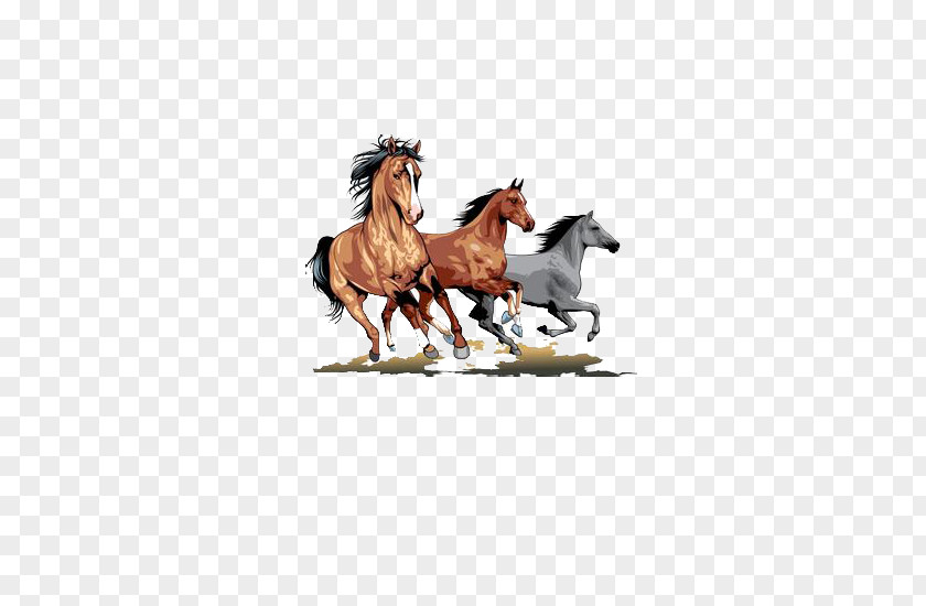 Brown Horse Mustang Stallion Wild Clip Art PNG
