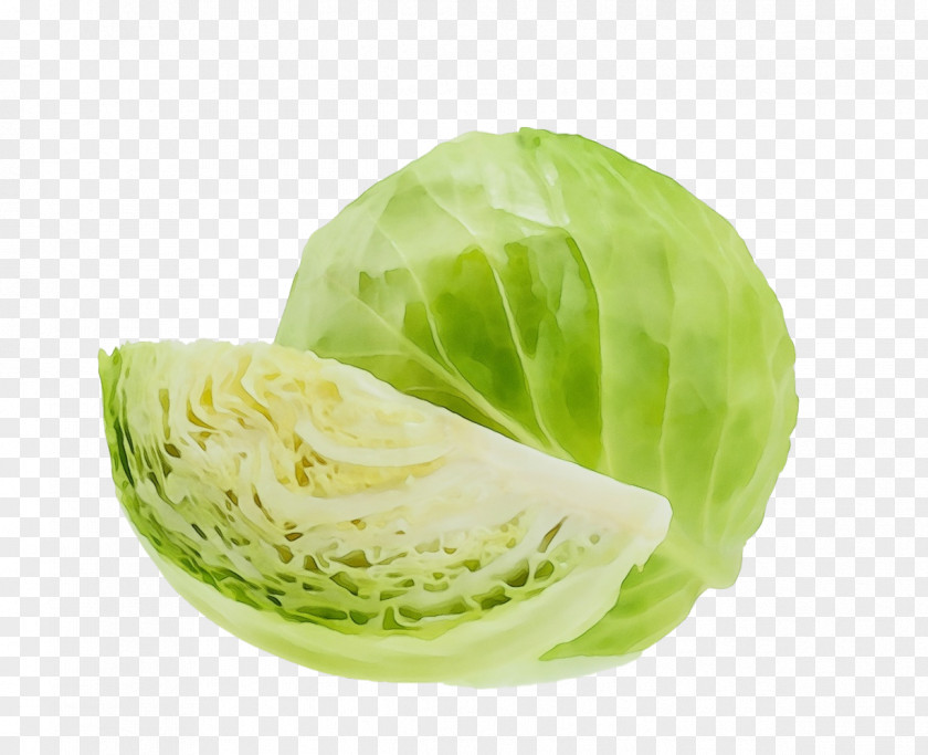 Cabbage Lettuce Vegetable Collard Romaine PNG