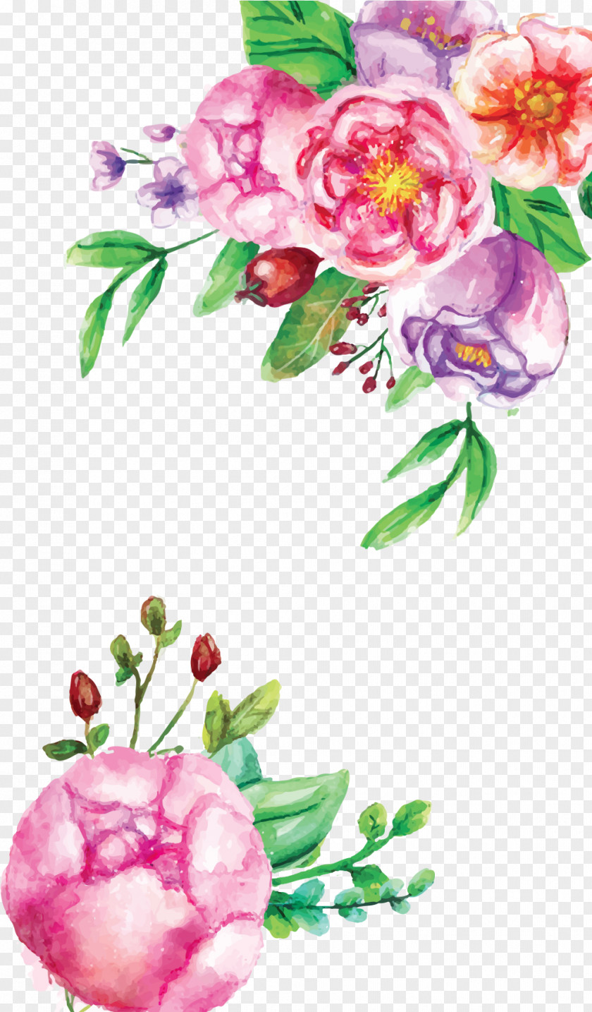 Camellia Rosa Rubiginosa Watercolor Pink Flowers PNG