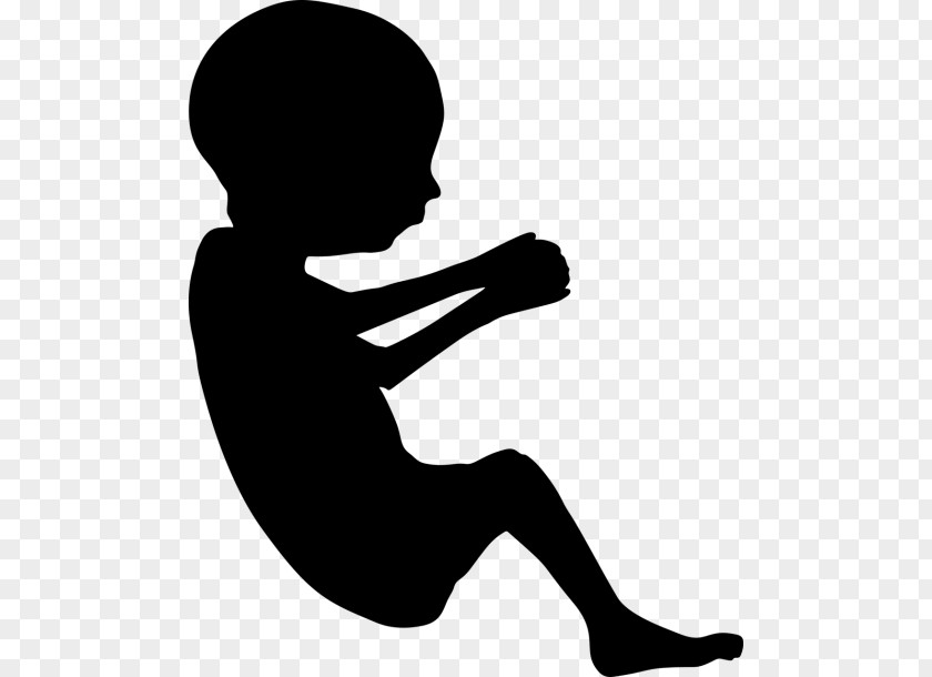 Pregnancy Fetus Infant Silhouette Clip Art PNG