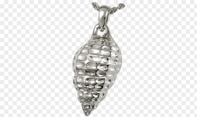 Sea Shell Necklace Locket Jewellery Charms & Pendants Gold PNG
