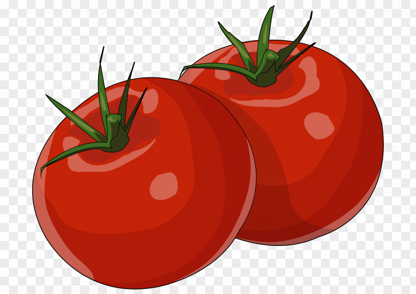 Tomato Plum Bush Food Gofio PNG