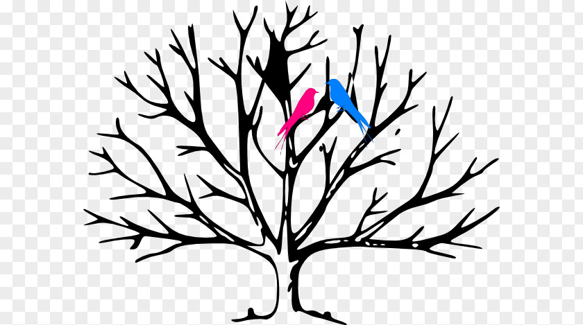 Bird Branch Coloring Book Tree Leaf Trunk Child PNG