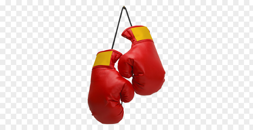 Boxing Stock Photography Glove PNG