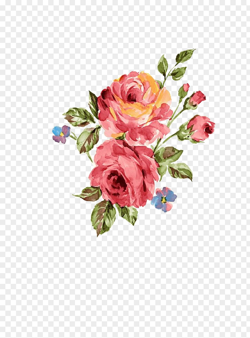 Flower Floral Design Textile Wallpaper Rose PNG