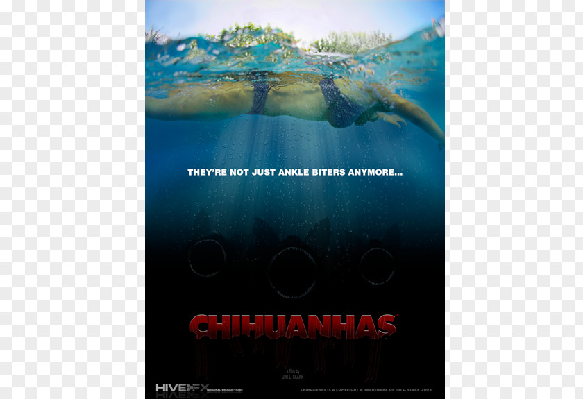 Horror Poster Text Film Chihuahua PNG
