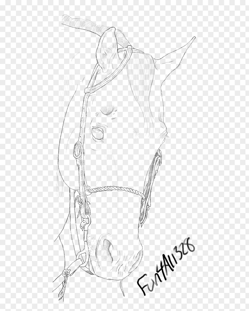 Horse Western Drawing Visual Arts Sketch PNG