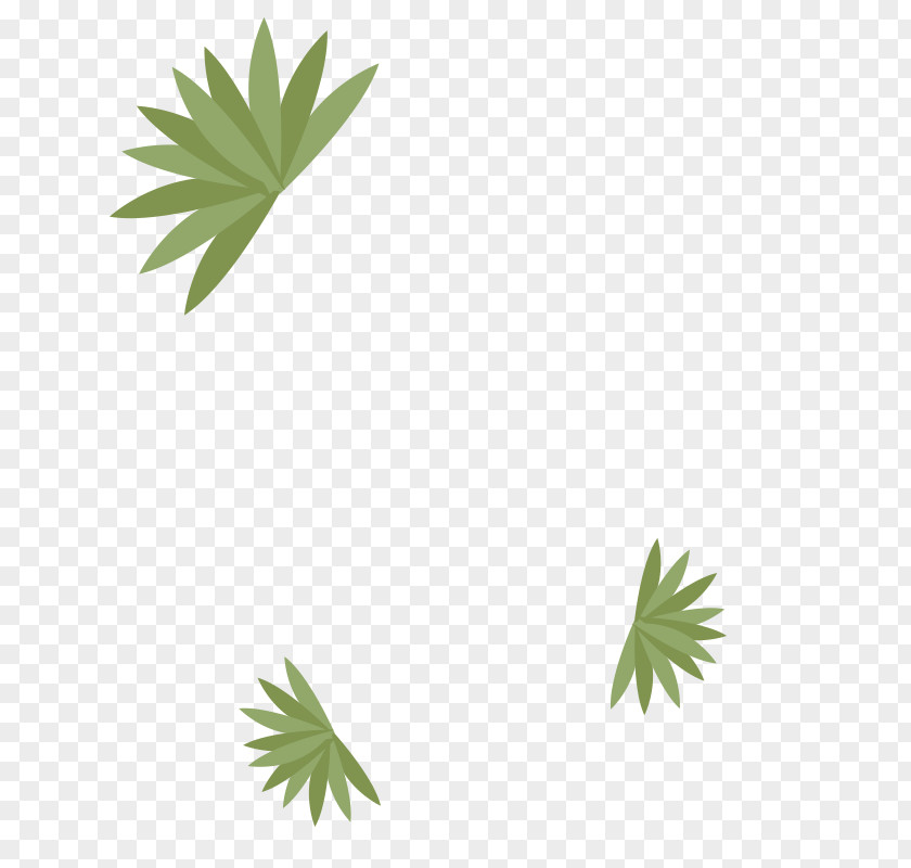 Leaf Hemp Plant Stem Line Tree PNG