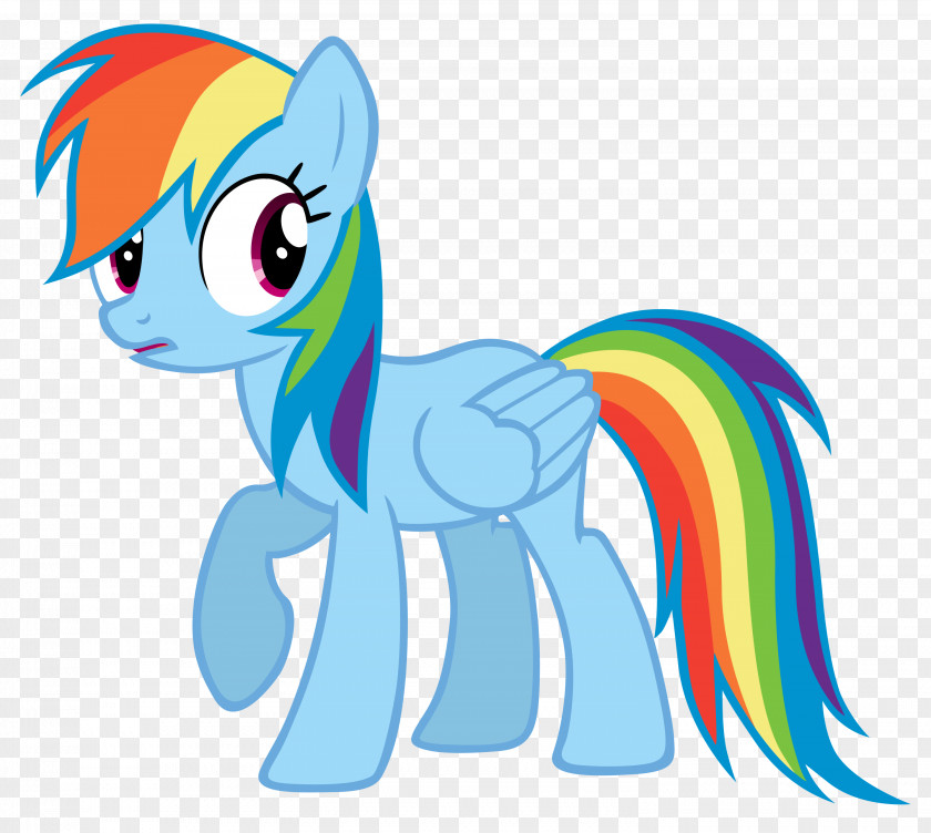 Mobile Search Box Rainbow Dash Twilight Sparkle YouTube Pony Fluttershy PNG