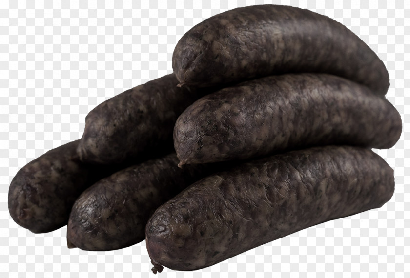 Sausage Liverwurst Bratwurst Knackwurst Mettwurst Cervelat PNG