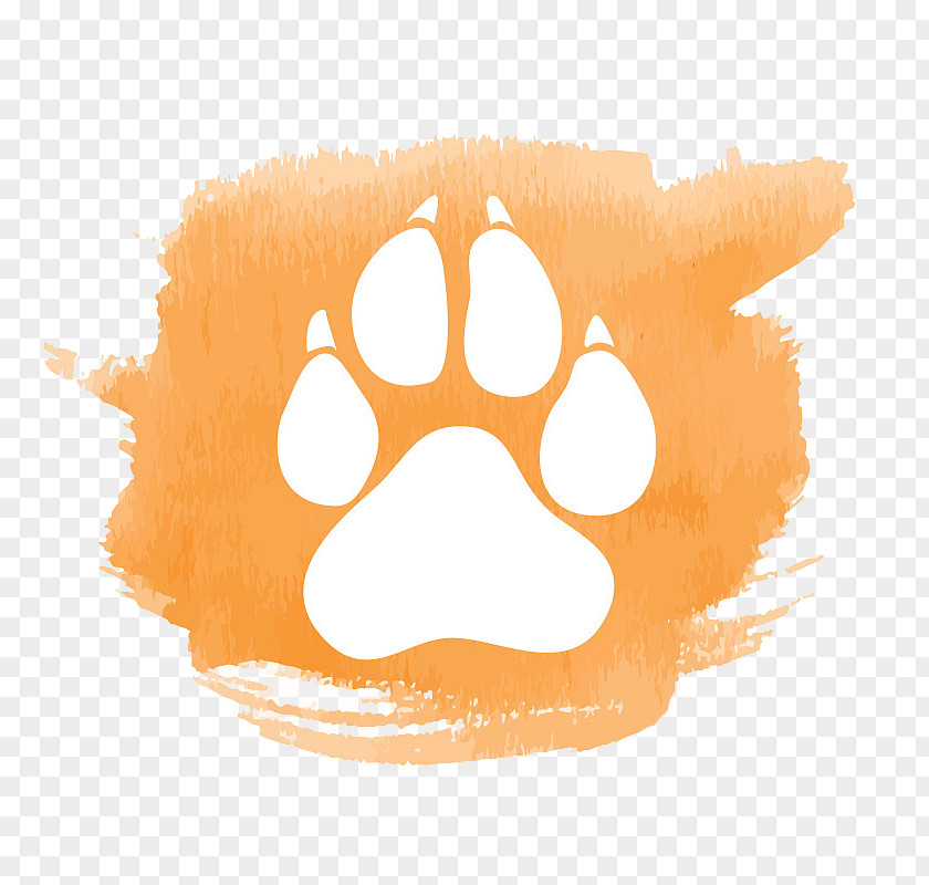 Watercolor Cat Footprints Dog Footprint Painting PNG