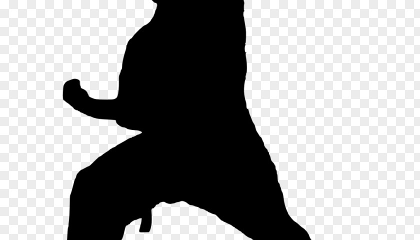 Blackandwhite Standing Dog And Cat PNG