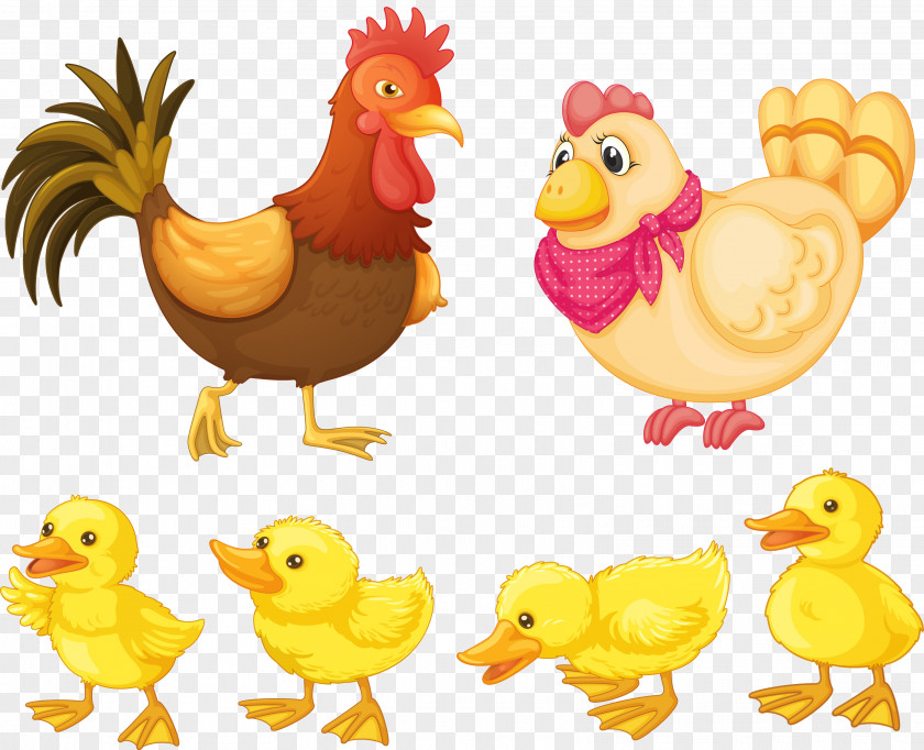 Chicken Baby Family Rooster Clip Art PNG
