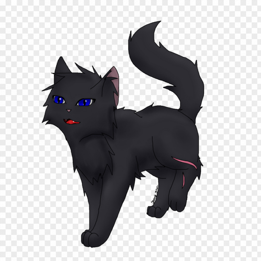 Cinderpelt Whiskers Cat Dog Canidae Snout PNG