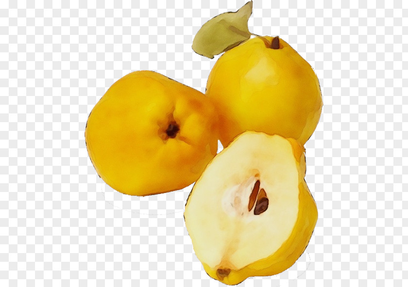 Superfood Quince Yellow Fruit Food Plant Natural Foods PNG