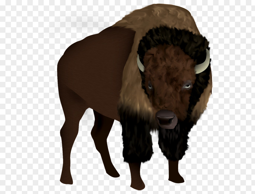Boson Bison Animation PNG