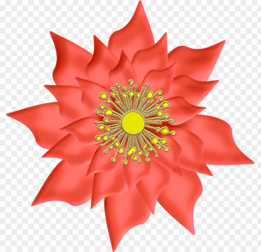 Dahlia Cut Flowers Orange S.A. PNG