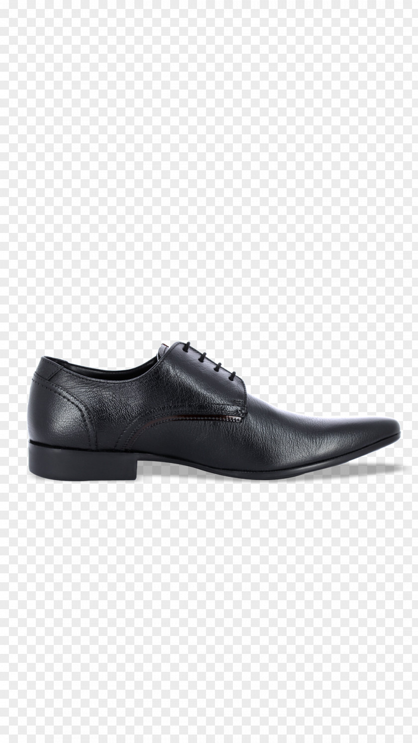 Derby Shoe Oxford Shoelaces Brogue PNG