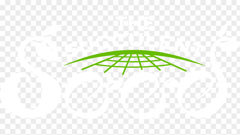 Eucalyptus Circle Logo Angle Font PNG