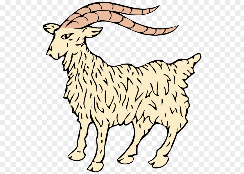 Goat Istria Goats Sheep Cattle PNG