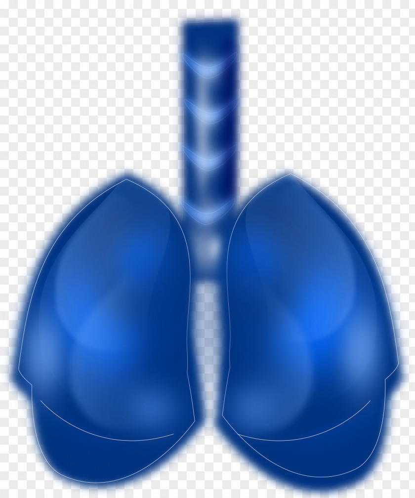 Lung Intracranial Pressure Peripheral Nervous System PNG