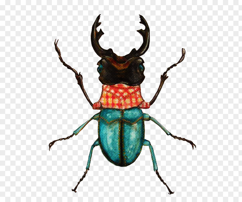 Textile Beetles Artist Weevil Japanese Rhinoceros Beetle PNG