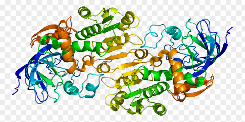 Alcohol Dehydrogenase Enzyme Formate PNG