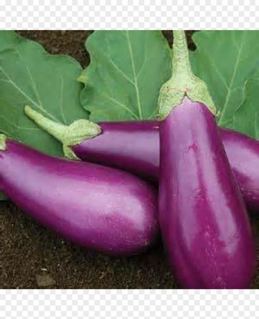 Eggplant Vegetable Sambar Parthenocarpy Indian Cuisine PNG
