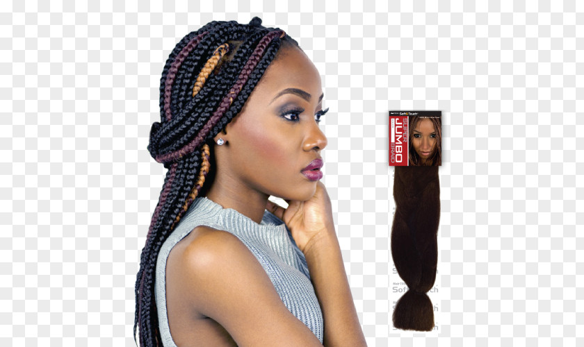Hair Braid Long Twists Afro PNG