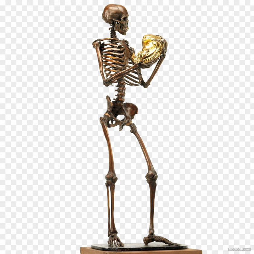 Metal Skeleton Human Sculpture Body U9ab7u9ac5 PNG