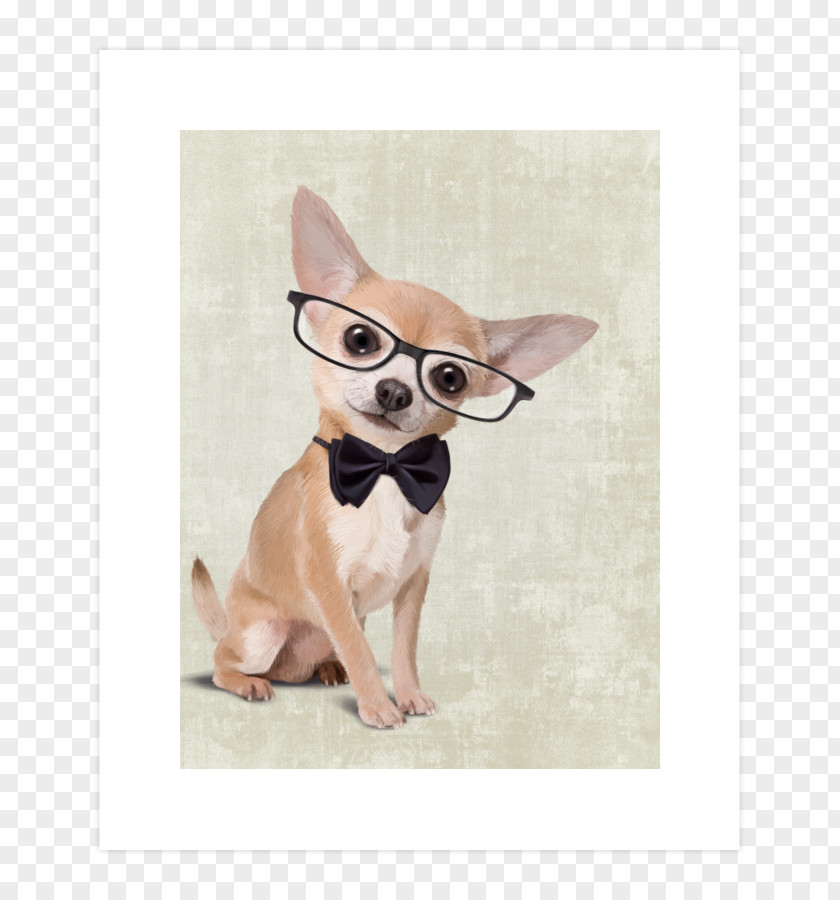 Puppy Chihuahua Printing Dachshund Art PNG
