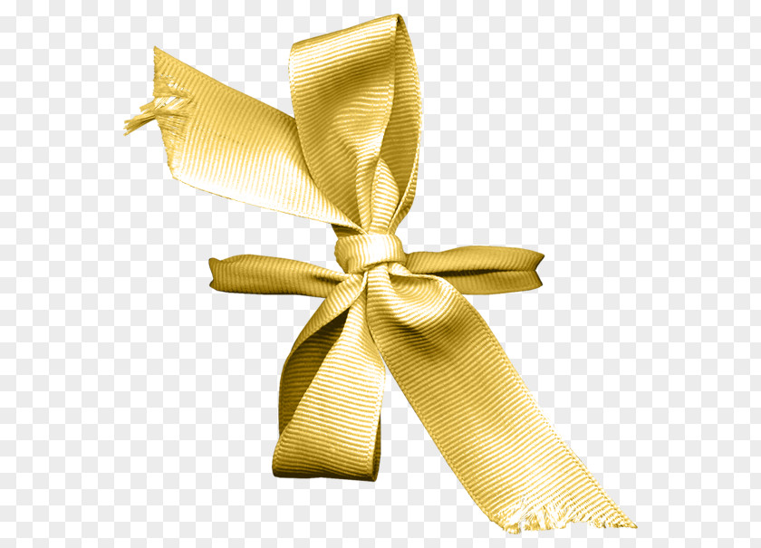 Ribbon Bow Shoelace Knot PNG