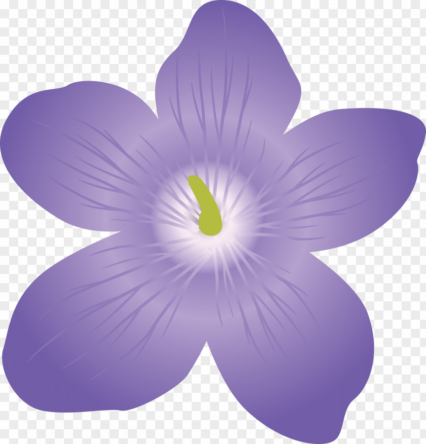 Violet Flower PNG