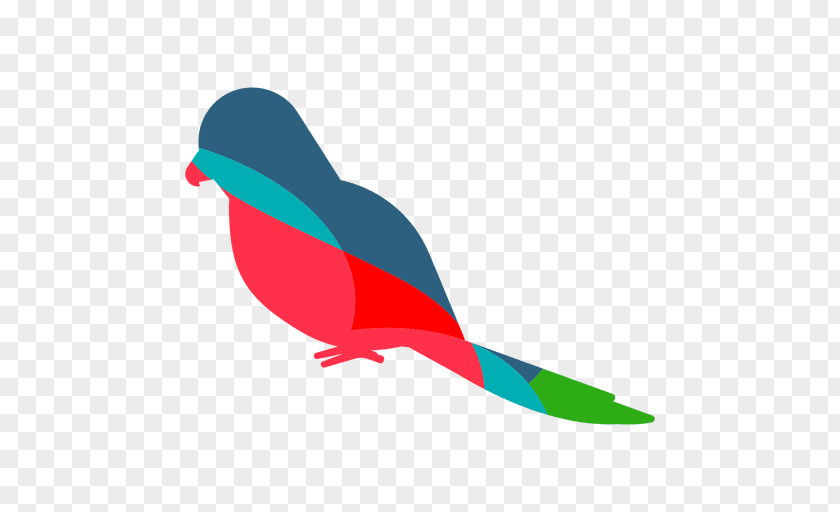 Cockatoo Beak Clip Art PhotoScape Adobe Photoshop Feather PNG