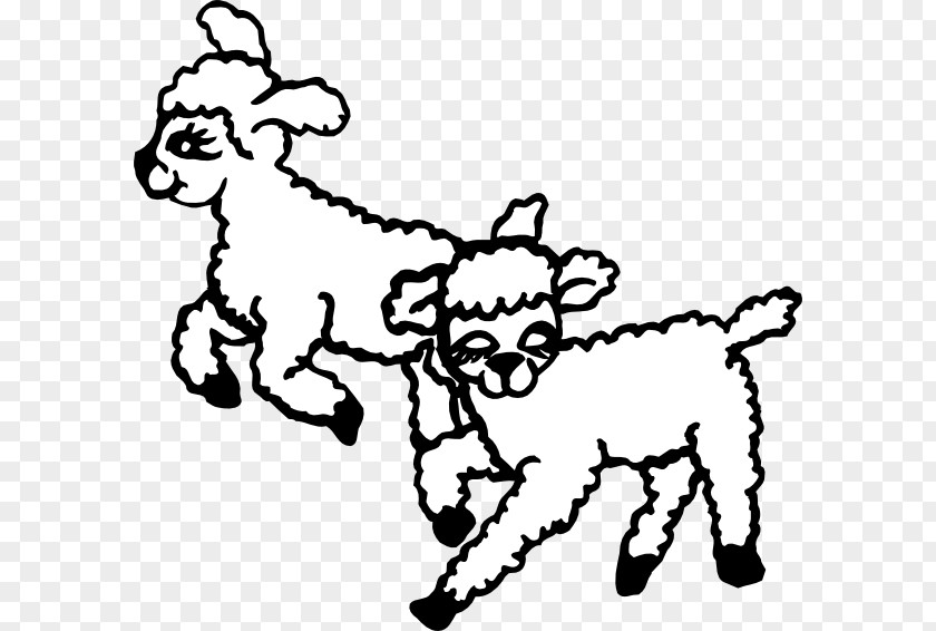 Cows Vector Counting Sheep Clip Art PNG