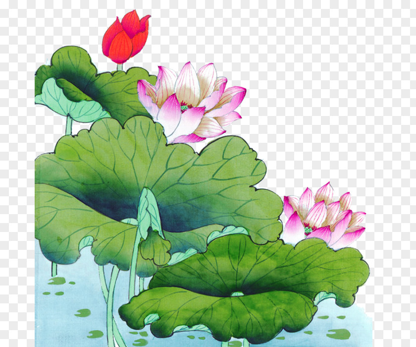 Hand-painted Lotus Heyexiang Leaf Ink Wash Painting Chinese PNG