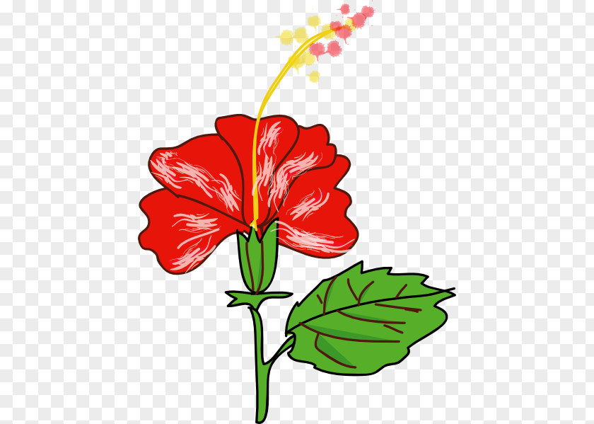 Hibiscus Flower Cartoon Hawaii Shoeblackplant Clip Art PNG