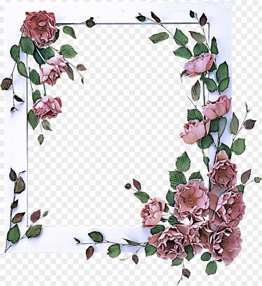 Picture Frame PNG