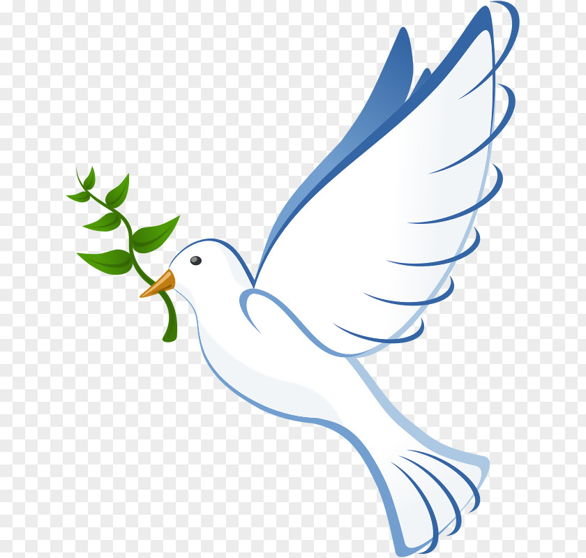Pigeon Columbidae Doves As Symbols Clip Art PNG