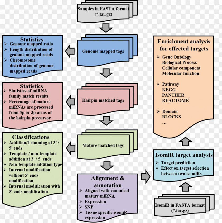 Social Sequence Analysis IsomiR MicroRNA RNA-Seq Small RNA Sequencing PNG