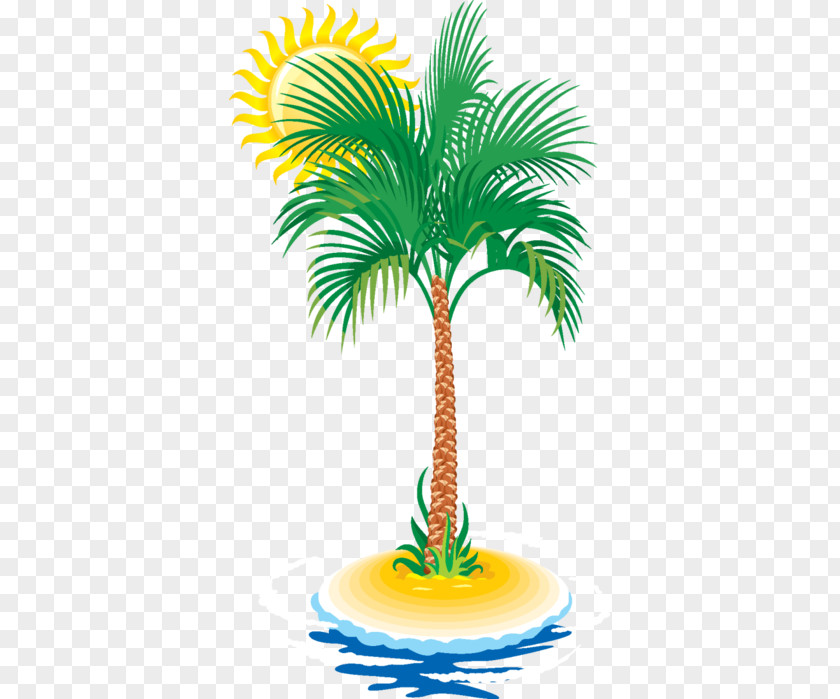 Tree Arecaceae Tropics Date Palm PNG