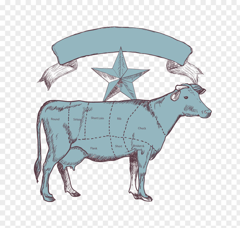 Vector Cow Parts Dairy Cattle Goat Ox Calf PNG