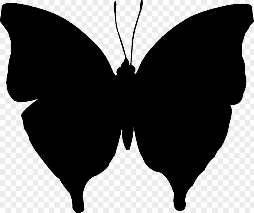 Brush-footed Butterflies Clip Art Silhouette Black M PNG