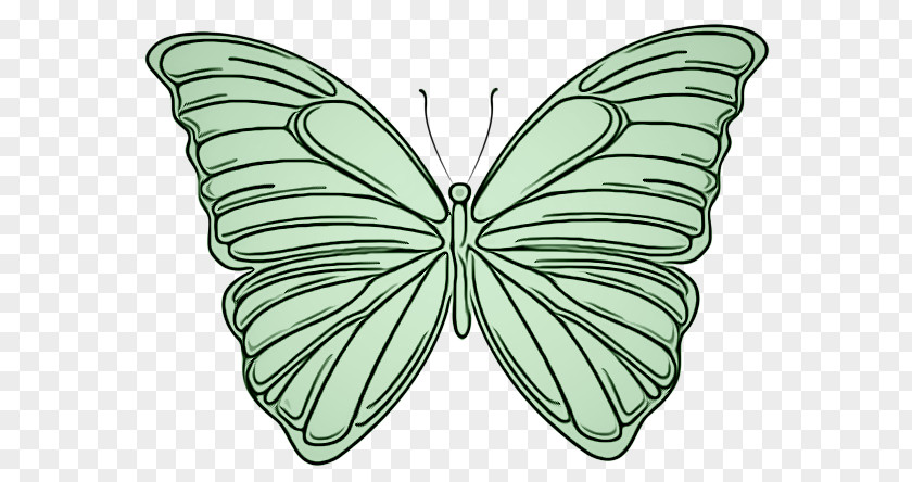 Brushfooted Butterfly Pollinator Moths And Butterflies Insect Green Leaf PNG