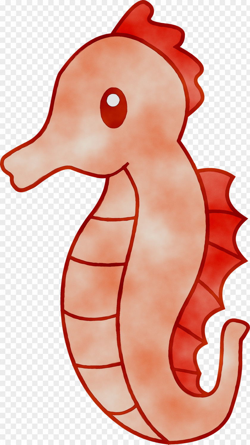 Clip Art Seahorse Image PNG