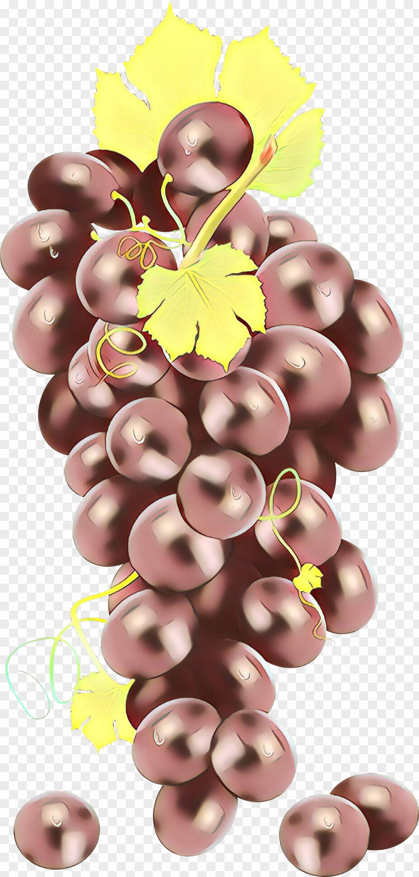 Food Plant Grape Cartoon PNG